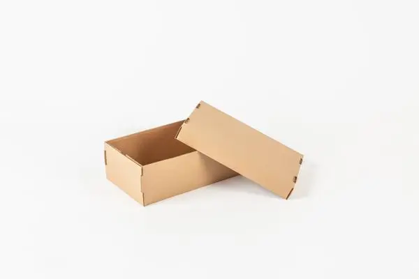 CAJA P- ZAPATO TAPA SEPARADA.webp