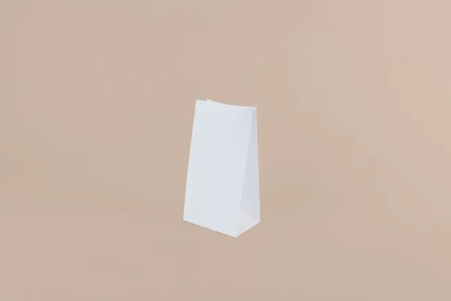 BOLSA GRANDE 28X40X15 P/ DELIVERY BLANCA