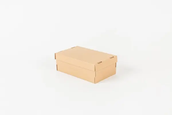CAJA P/ ZAPATO TAPA INCLUIDA