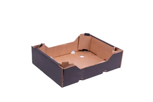 CAJA USOS VARIOS 40X30X10 NEGRA