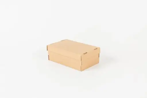 CAJA P/ ZAPATO TAPA INCLUIDA